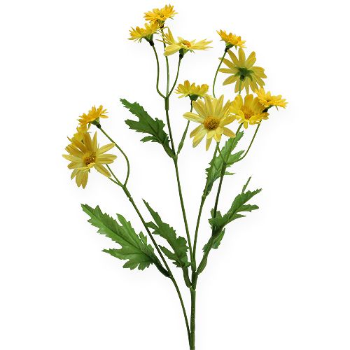 Floristik24 Dekorativ gren marguerit gul 43 cm 4stk