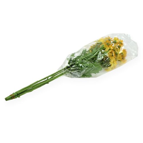 Floristik24 Dekorativ gren marguerit gul 43 cm 4stk