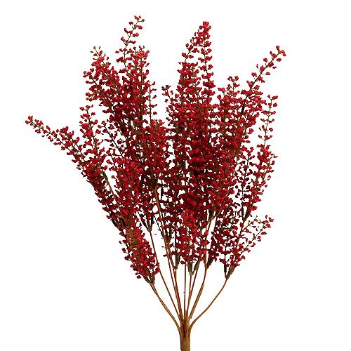 Floristik24 Astilbe bush rød 52 cm