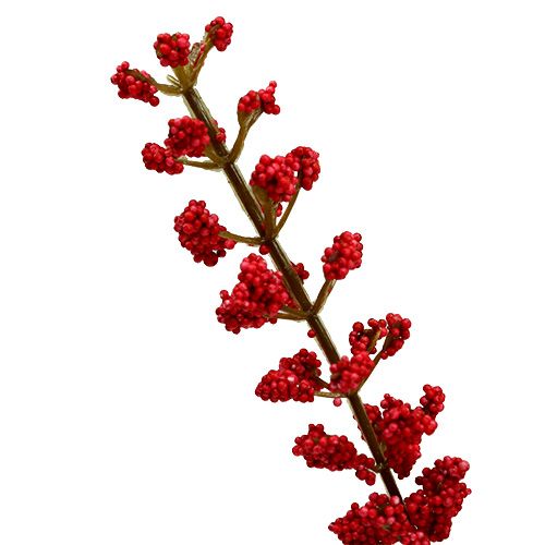 Artikel Astilbe bush rød 52 cm