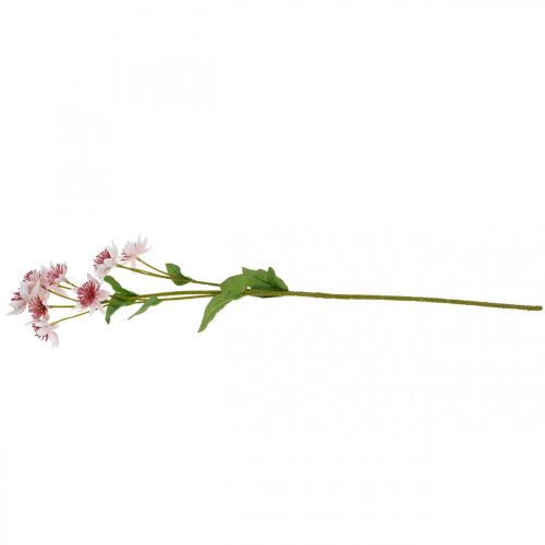 Artikel Stor Masterwort Kunstig Astrania Silkeblomst Hvid Pink L61cm