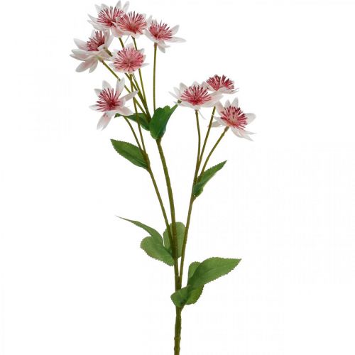 Floristik24 Stor Masterwort Kunstig Astrania Silkeblomst Hvid Pink L61cm