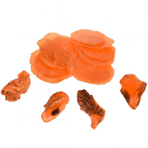 Floristik24 Østersmuslinger capiz skiver i net appelsin 3,5–9,5cm 2stk