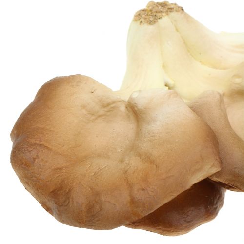Floristik24 Østerssvamp dekorativ champignon brun 12cm x 19cm