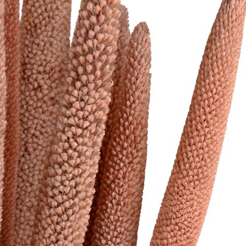 Artikel Perlehirse, rør babala, hirse rødbrun 70cm 10 stk