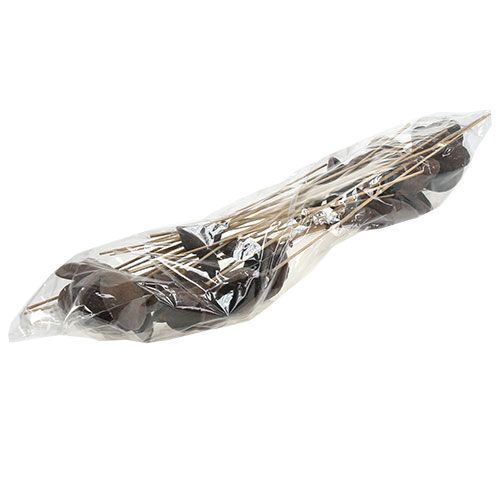 Artikel Badam på pind naturel 6cm - 12cm 23 stk