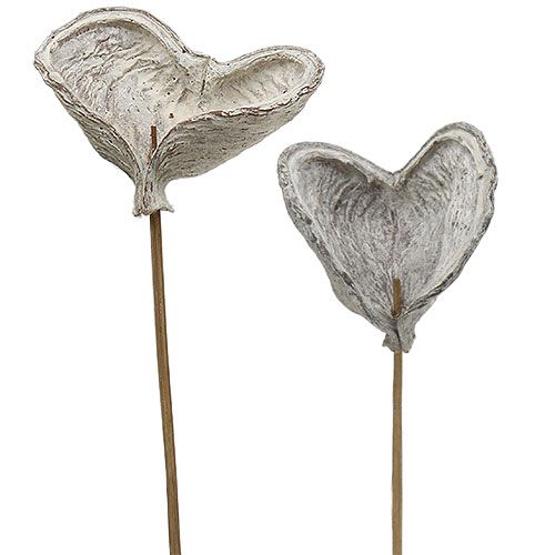 Artikel Badam på pind hvidkalket 12cm L55cm 23 stk