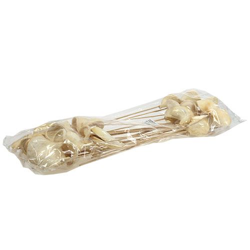 Floristik24 Badam på pind bleget 6cm - 12cm L55cm 23 stk