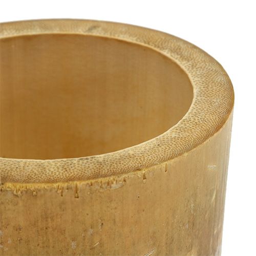 Floristik24 Bambusplanter Ø7cm H10cm