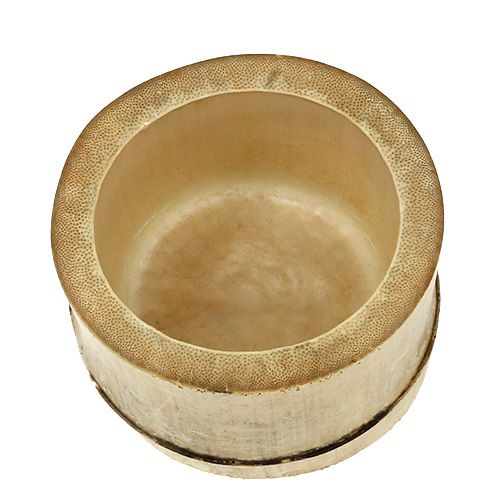 Floristik24 Bambusplanter Ø7cm H10cm