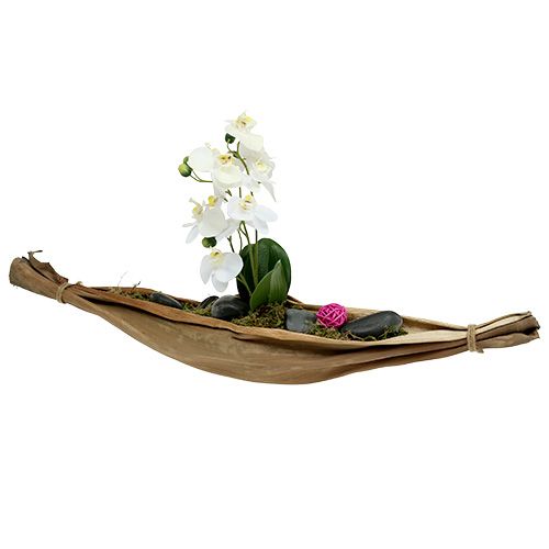 Floristik24 Bananbladskål 40-45cm naturel 1 stk