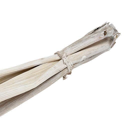 Floristik24 Bananblad vasket hvid naturlig dekoration 66cm