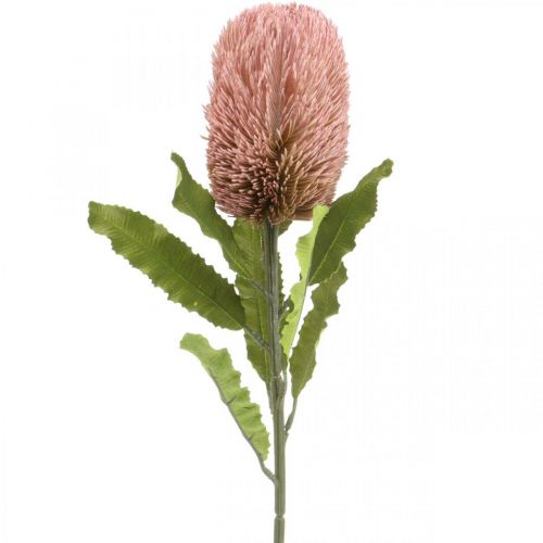 Artikel Kunstig blomst Banksia pink efterårsdekoration erindringsblomster 64cm