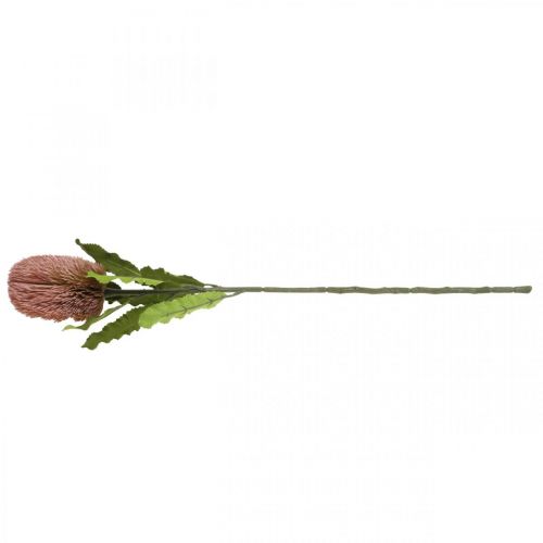 Artikel Kunstig blomst Banksia pink efterårsdekoration erindringsblomster 64cm