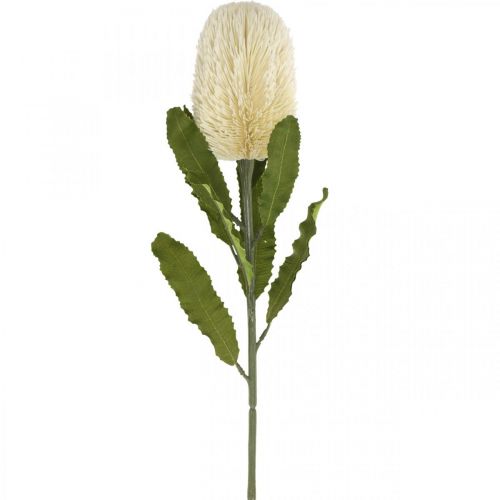 Artikel Artificial Flower Banksia White Cream Artificial Exotics 64cm
