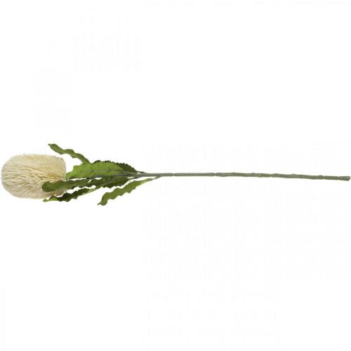 Artikel Artificial Flower Banksia White Cream Artificial Exotics 64cm