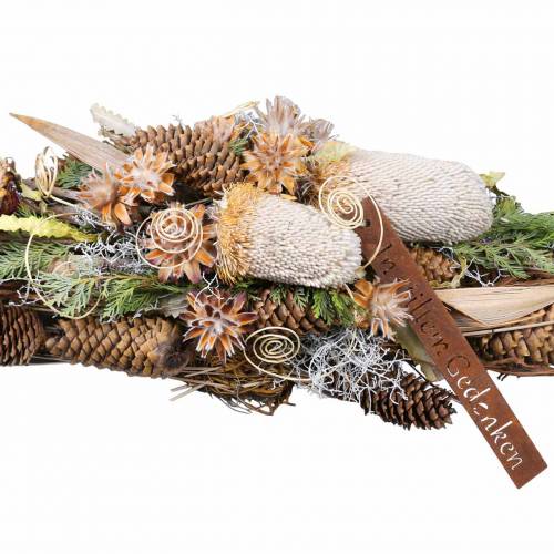 Floristik24 Banksia Hookerana naturel 7 stk