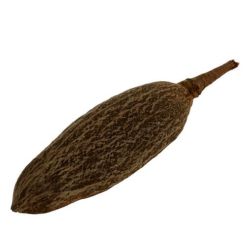 Floristik24 Baobab skål naturlig 30cm - 38cm skrællet