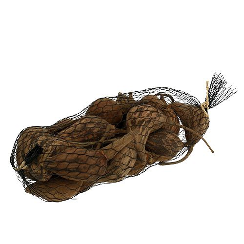 Floristik24 Baobab mini skrællet naturligt 8cm - 12cm 250g