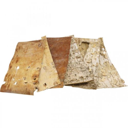 Floristik24 Træbark dekorative barkstrimler naturlig birkebark 30×12cm 6 stk.