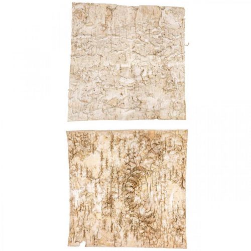 Floristik24 Træbark dekorativ bark firkantet birkebark natur 20×20cm 6 stk