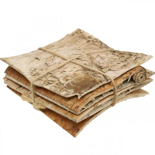 Floristik24 Træbark dekorativ bark firkantet birkebark natur 10×10cm 6 stk