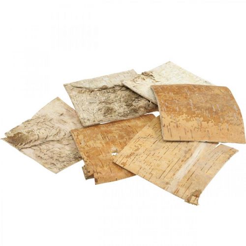 Floristik24 Træbark dekorativ bark firkantet birkebark natur 10×10cm 6 stk