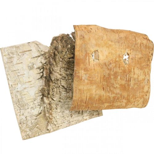 Floristik24 Træbark deco bark firkantet birkebark natur 10×10cm 6stk