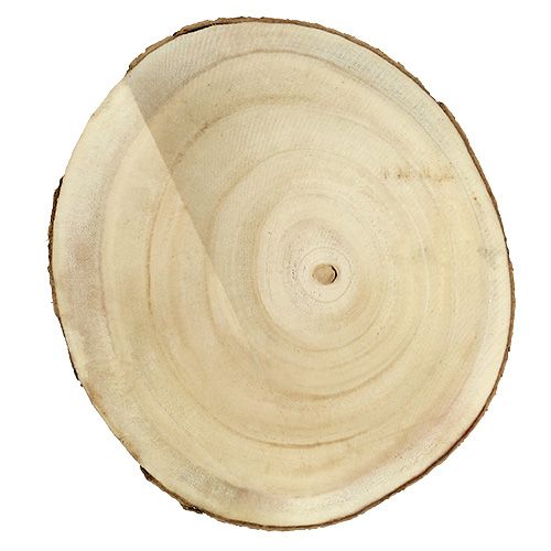 Floristik24 Træskive natur Ø20cm - 30cm