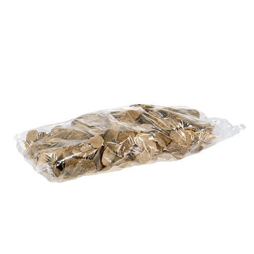 Floristik24 Træ svamp naturlige 2 kg