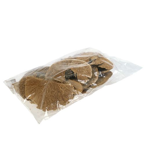 Floristik24 Træsvamp natur 500g