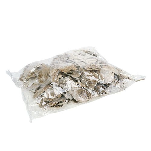 Artikel Træsvamp hvidvasket 1 kg