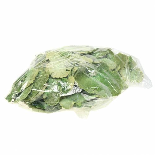Artikel Træsvamp grøn hvid vasket 1 kg