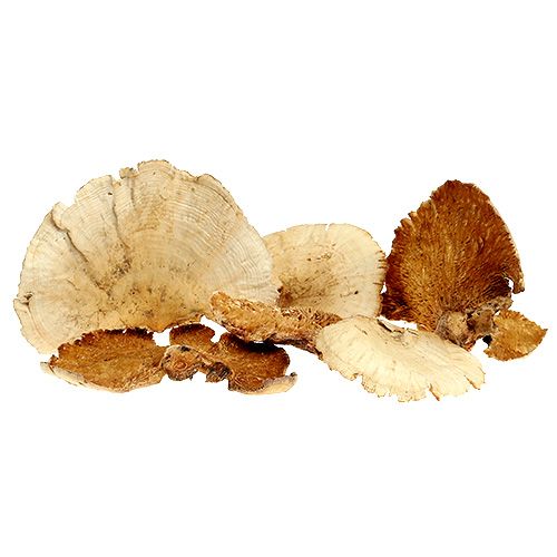 Træsvamp bleget 1 kg