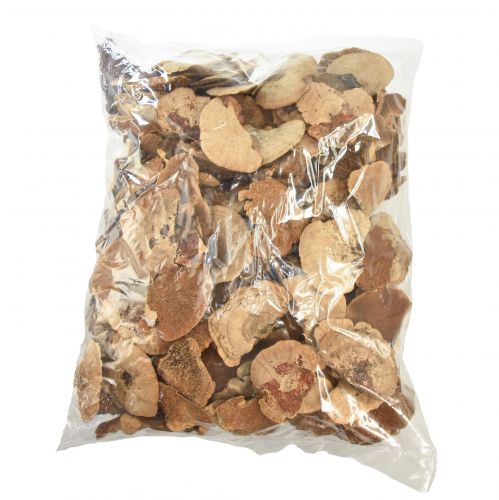 Floristik24 Træsvamp små naturlige træsvampe dekoration 4-6cm 1kg