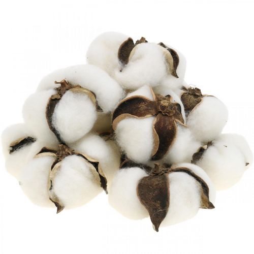 Artikel Bomuldsblomst dekoration tørret bomuld naturdekoration Ø6cm 12 stk