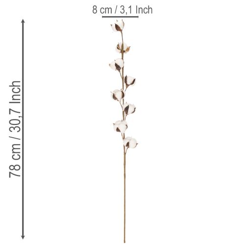 Kunstig bomuldsgren med 8 rigtige blomster, 78 cm | Floristik24.dk