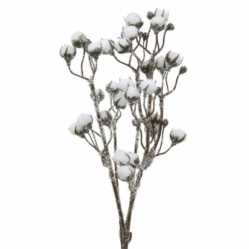 Floristik24 Bomuldsgren islagt 47 cm