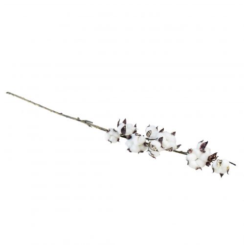 Artikel Bomuldsgren bomuldsblomster kunstig brun hvid L95cm