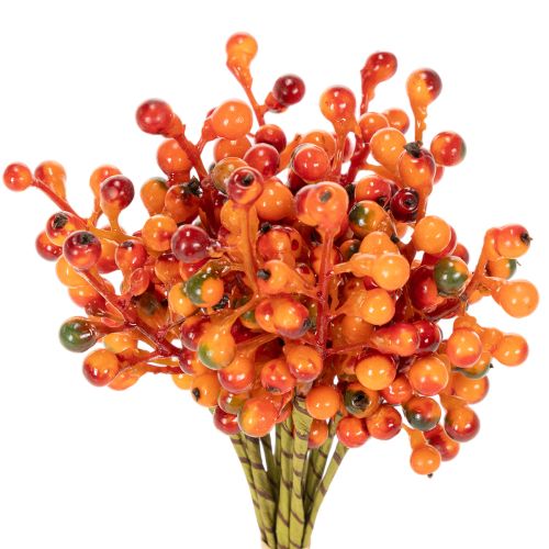 En buket orange bær, 20 cm lange købe | Floristik24.dk