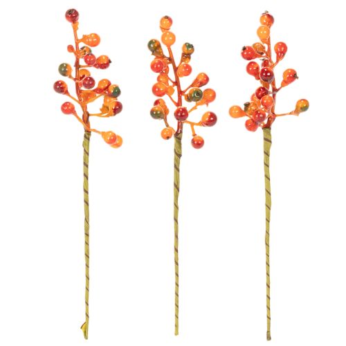 En buket orange bær, 20 cm lange | Floristik24.dk