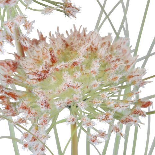 Floristik24 Kunstig blomsterkugleblomst allium prydløg kunstig rødgrøn 90cm