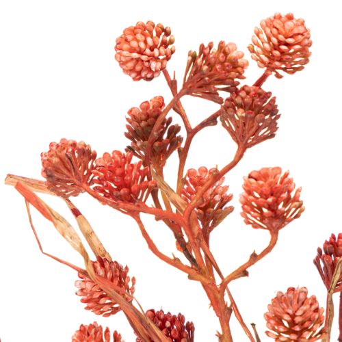 Kunstig bærgren, naturtro efterårsdekoration, 68 cm | Floristik24.dk