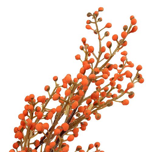 Floristik24 Bærgren orange L48cm 1 stk