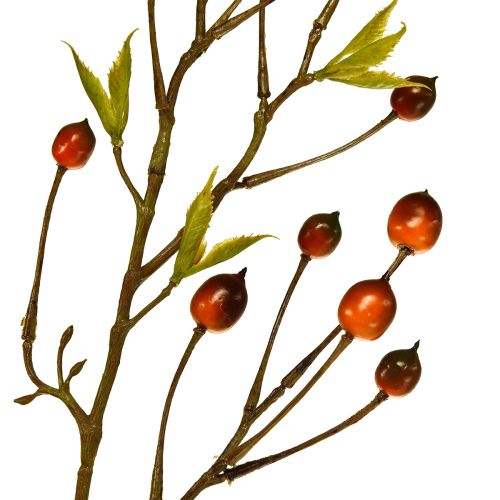 Floristik24 Bær gren rød kunstig kunstgren deco gren 82cm