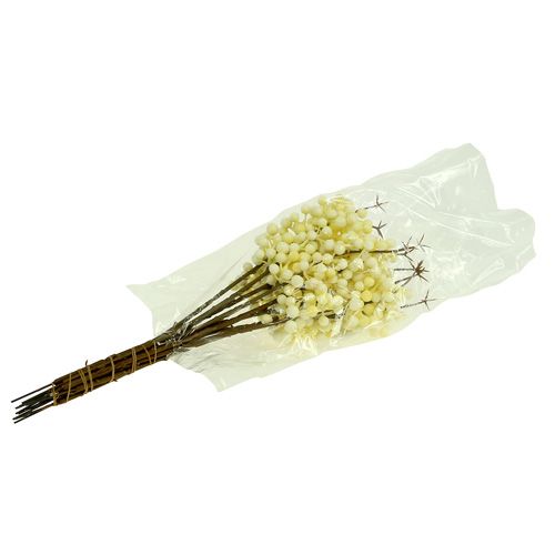 Artikel Berry gren creme L30cm 12stk