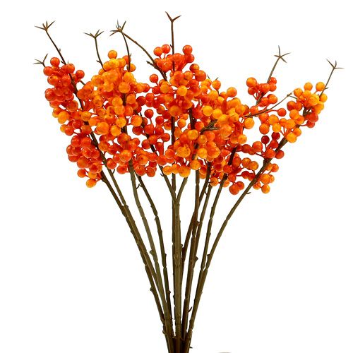 Floristik24 Bærgren orange L 30cm 12stk