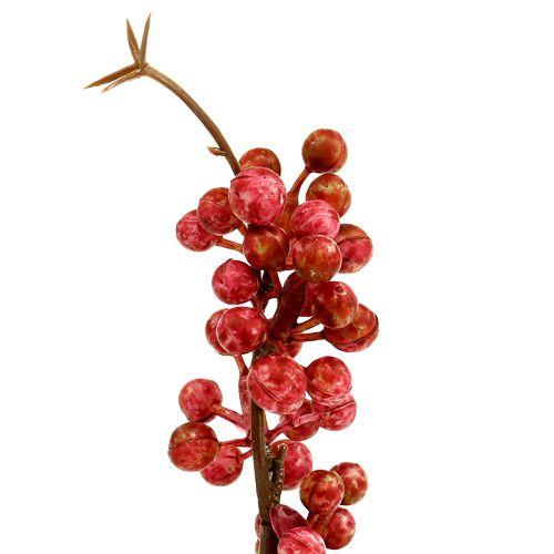 Floristik24 Bærgren pink L 28cm 12stk