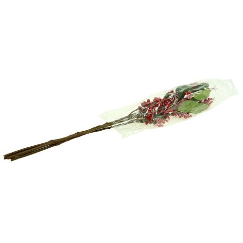 Floristik24 Bærgren rød 63 cm 4stk