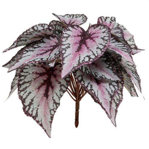 Floristik24 Kunstig begonia busk Bordeaux 37cm